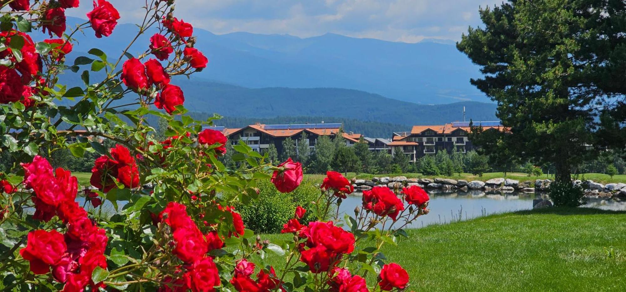 Green Peaks Suite In Pirin Golf & County Club Raslog Exterior foto