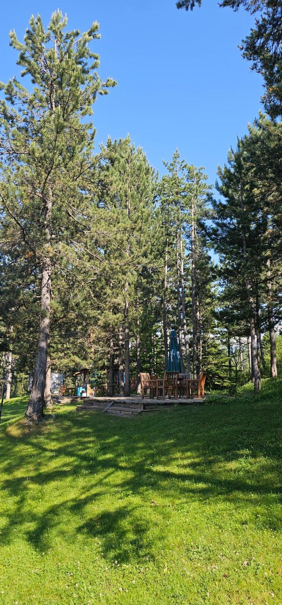 Green Peaks Suite In Pirin Golf & County Club Raslog Zimmer foto